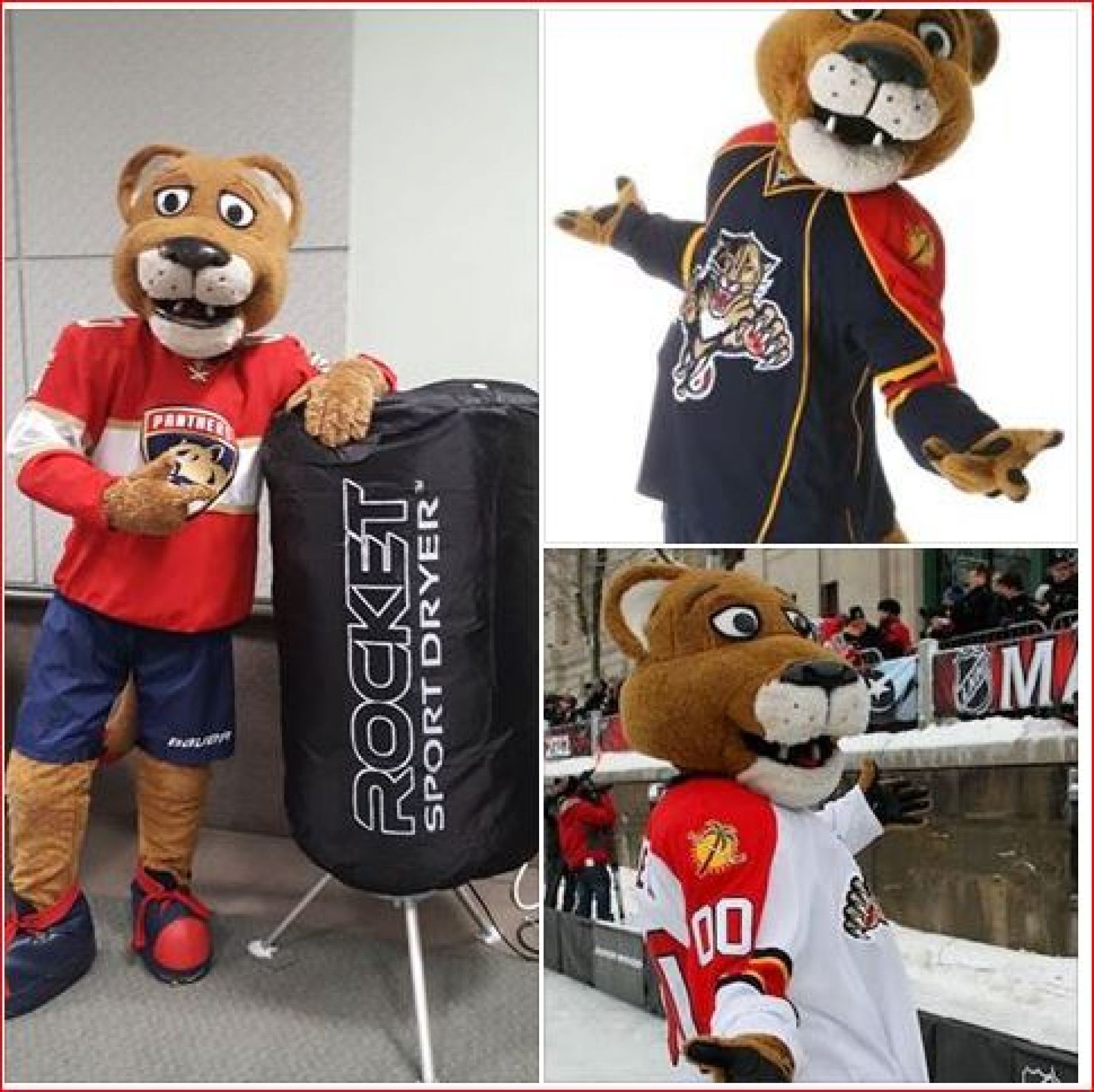 What is the Panthers' mascot? How Florida got multiple mascots for